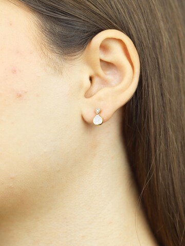 DIAMANT LETERNEL Earrings in Gold: front