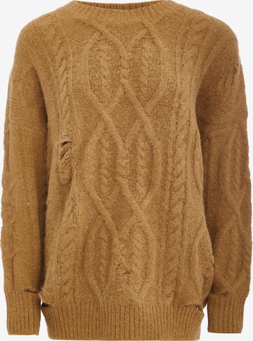 Tanuna Sweater in Brown: front