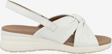 Sandales ' 9-28300-20 ' CAPRICE en blanc