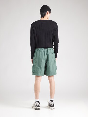 THE NORTH FACE - Loosefit Pantalón cargo en verde