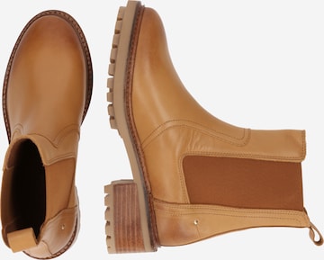 Vanessa Bruno Chelsea Boots in Braun