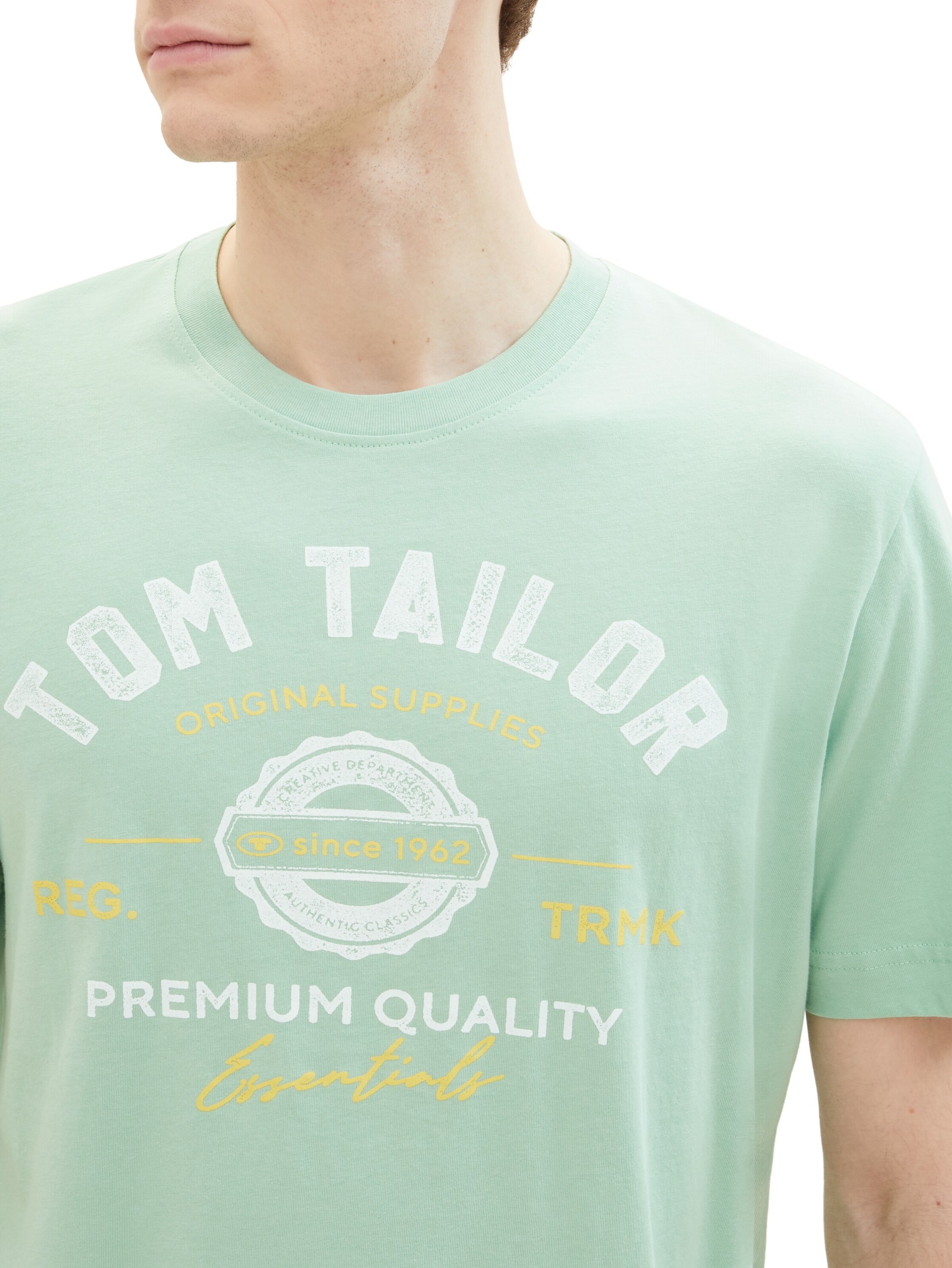 Maglietta di TOM TAILOR in verde