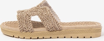 Brasileras Slippers 'Braida' in Brown: front