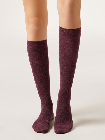 CALZEDONIA Kniestrümpfe in Rot