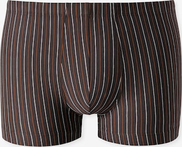 SCHIESSER Boxer shorts ' 95/5 Essentials ' in Brown: front