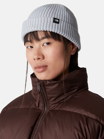 THE NORTH FACE Beanie 'TNF FISHERMAN' in Blue: front