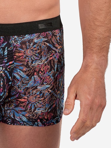 HOM Boxershorts 'Biscayne'‌‌ in Mischfarben