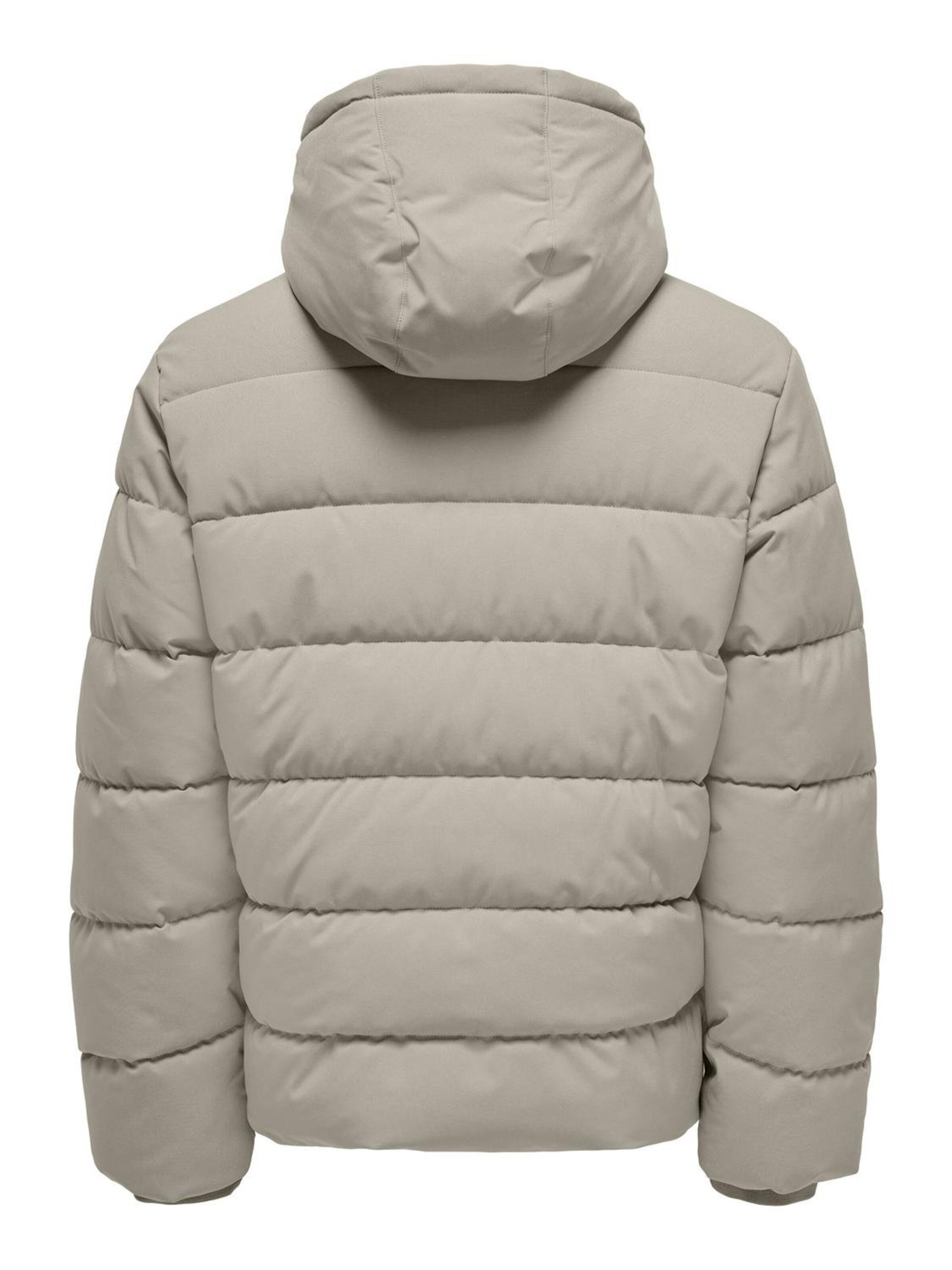 Only & Sons Winter jacket 'Marvin Life' in Grey