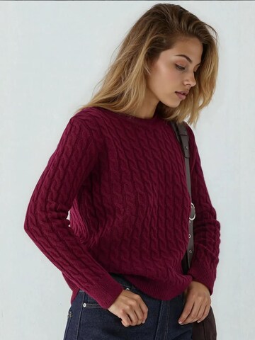 Pullover di Hiccup in rosso