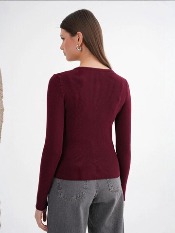 MixRay Knit Cardigan in Red