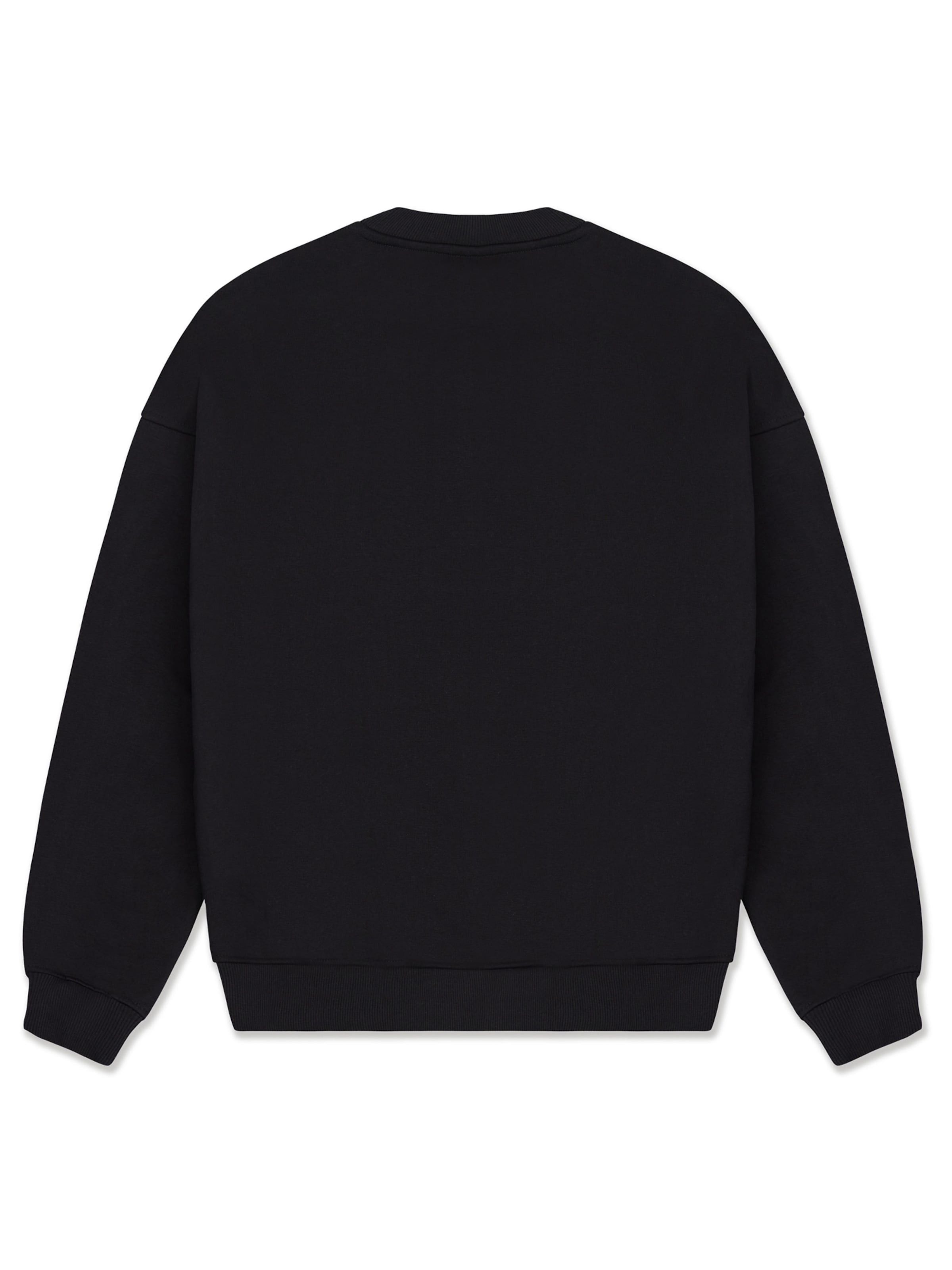 Johnny Urban Sweatshirt 'Carter Oversized' i svart