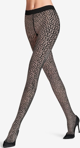FALKE Strumpfhose 'Shell Fragments' in Schwarz: Vorderseite