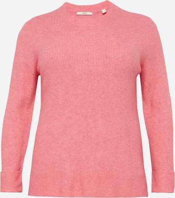 Esprit Curves Sweter w kolorze różowy: przód