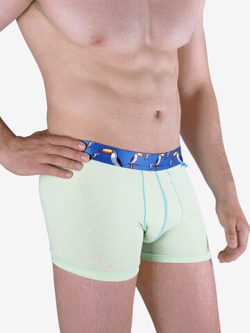 UNABUX Boxershorts in Grün