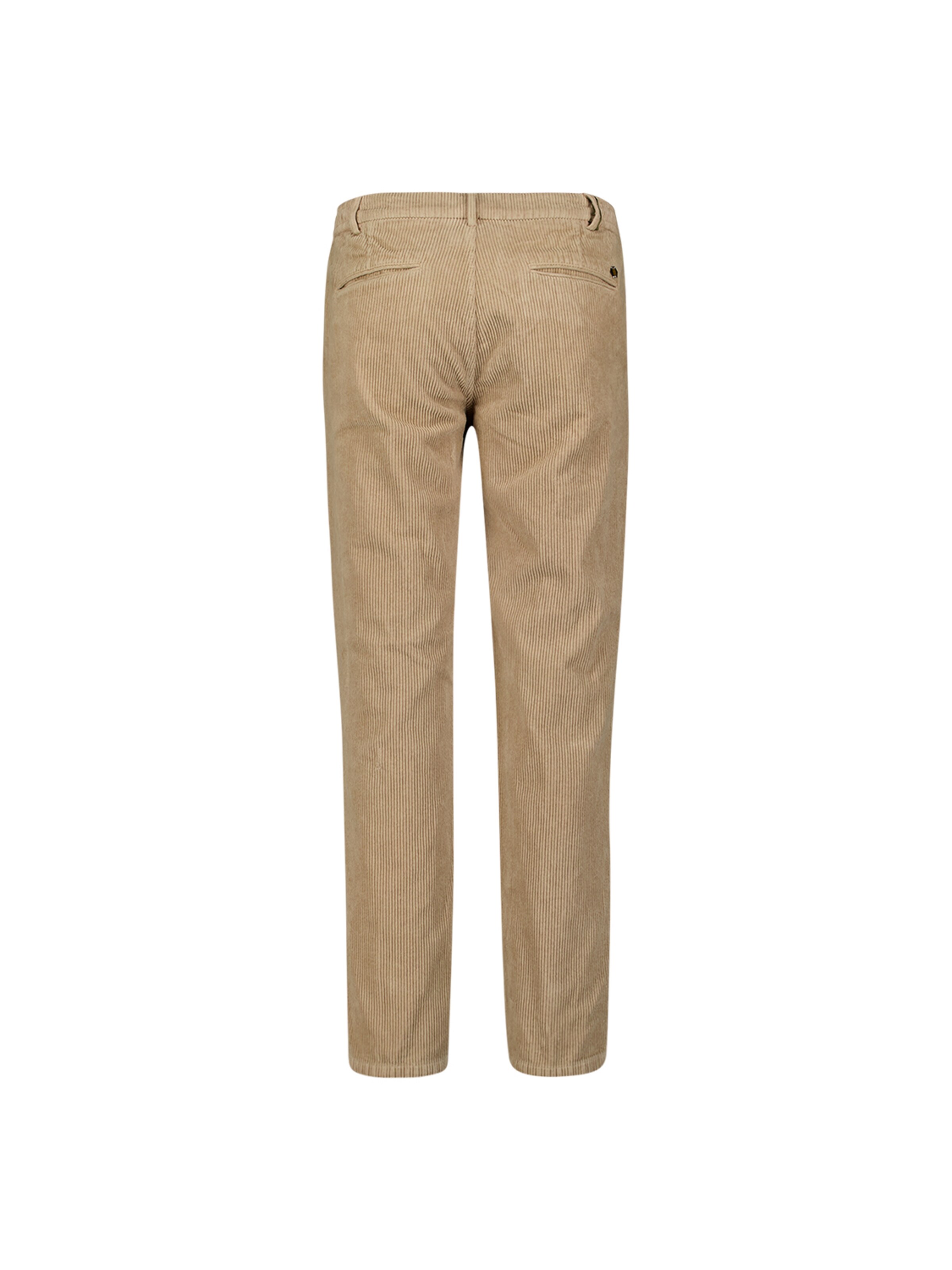 No Excess Regular Pants in Beige