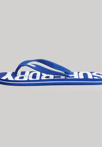 Tongs Superdry en bleu