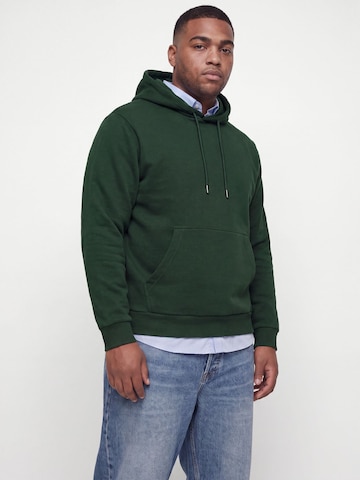Jack & Jones Plus Sweatshirt 'JJEBRADLEY' in Grün: Vorderseite
