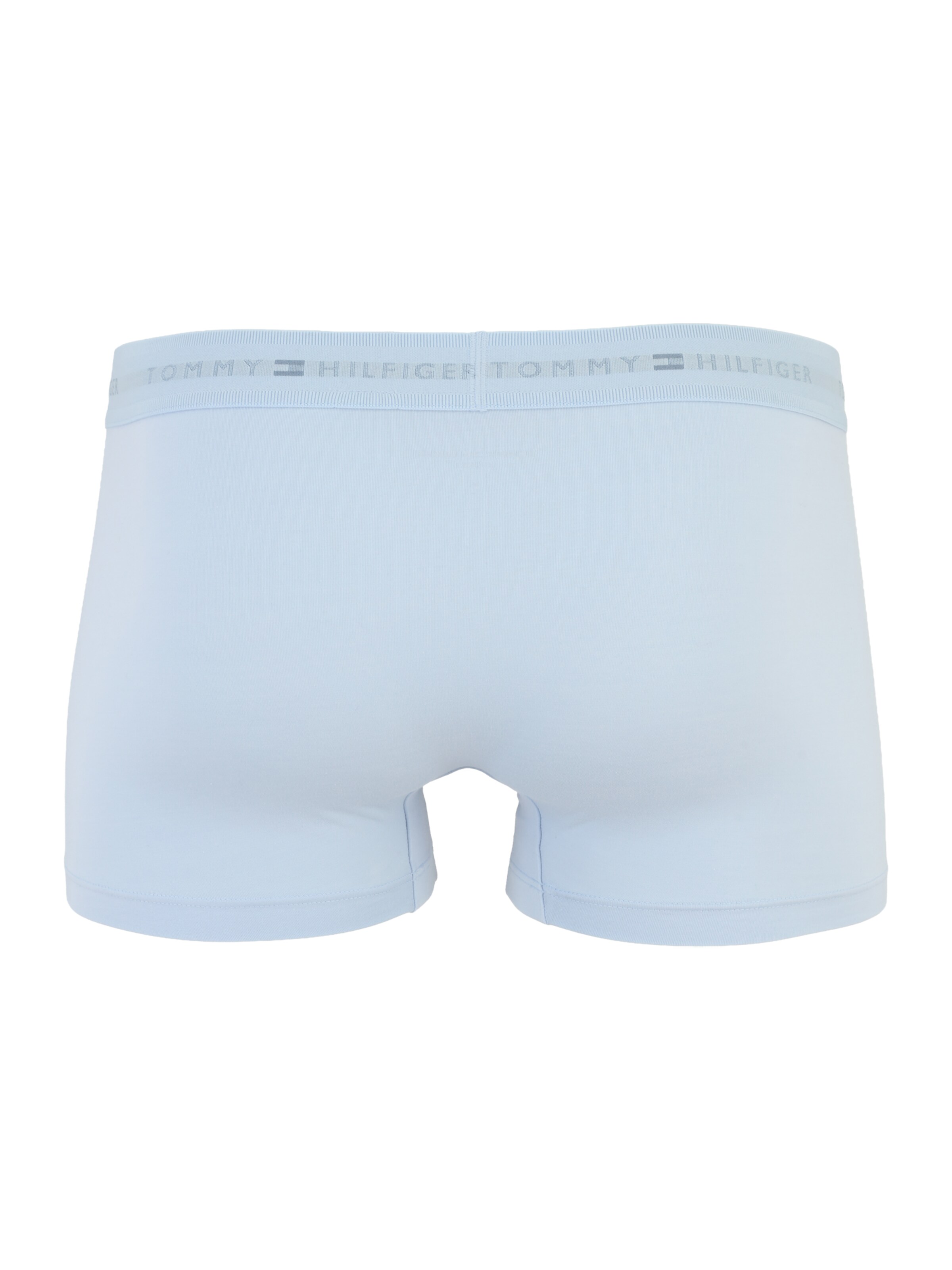Tommy Hilfiger Underwear Boxer shorts in Blue