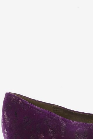 GEOX Flats & Loafers in 41 in Purple