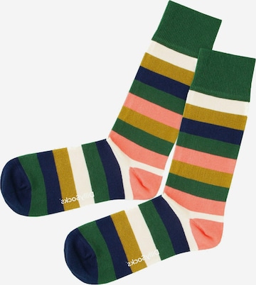 DillySocks Socken 'Great Grow' in Mischfarben: predná strana