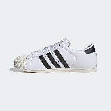 Sneaker bassa 'Superstar' di ADIDAS ORIGINALS in bianco