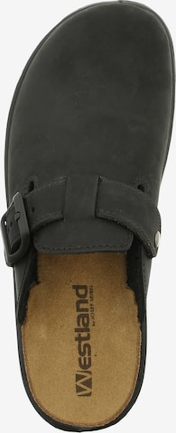 Westland Clogs in Black