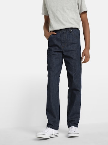 bonprix Regular Pants in Blue: front