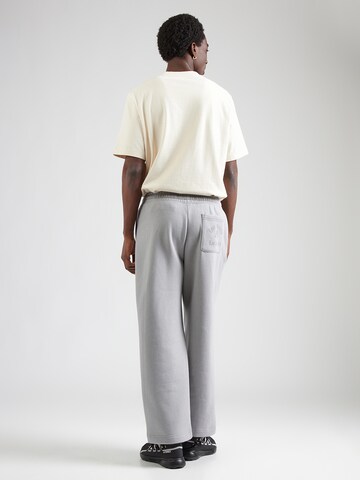 HOLLISTER Baggy Hose in Grau