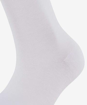 Chaussettes FALKE en blanc