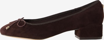 STEVE MADDEN Pumps 'Cherisher' in Brown: front