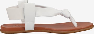 ILC T-Bar Sandals in White