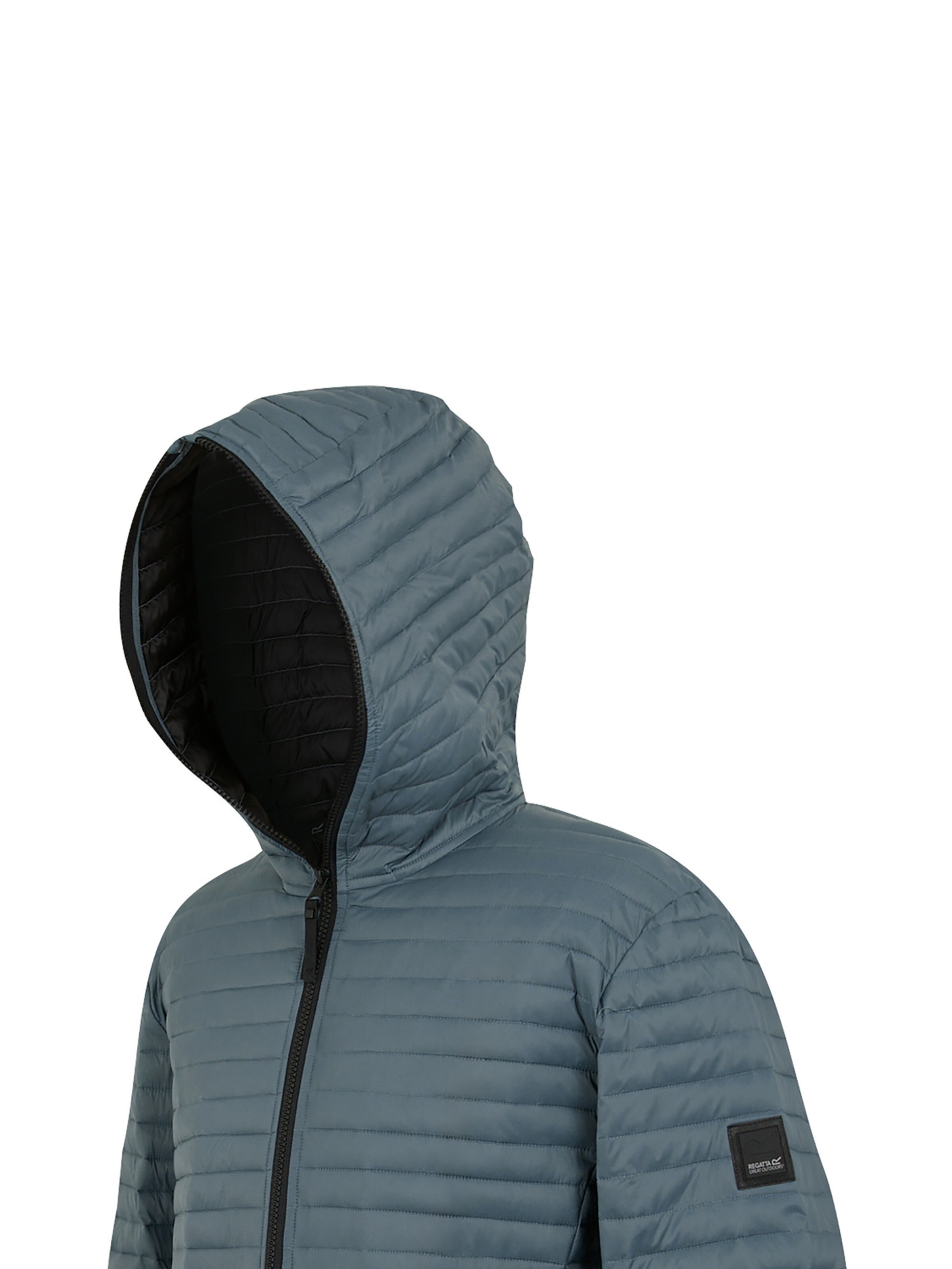 REGATTA Winterjas 'Rigain' in Grijs