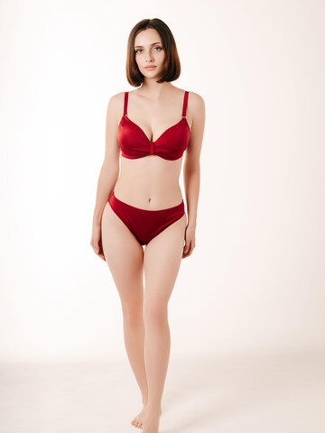 BREEZERA Bikini Bottoms in Red: front