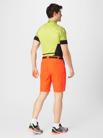 DARE2B Regular Outdoorbroek 'Tuned In Pro' in Oranje