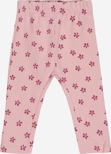 STACCATO Leggings in Orchid / Red violet, Item view