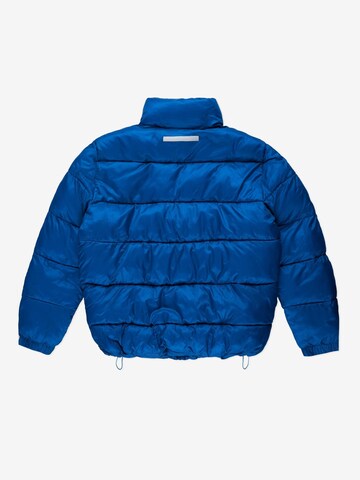 Prosto Winter Jacket 'Void-9' in Blue