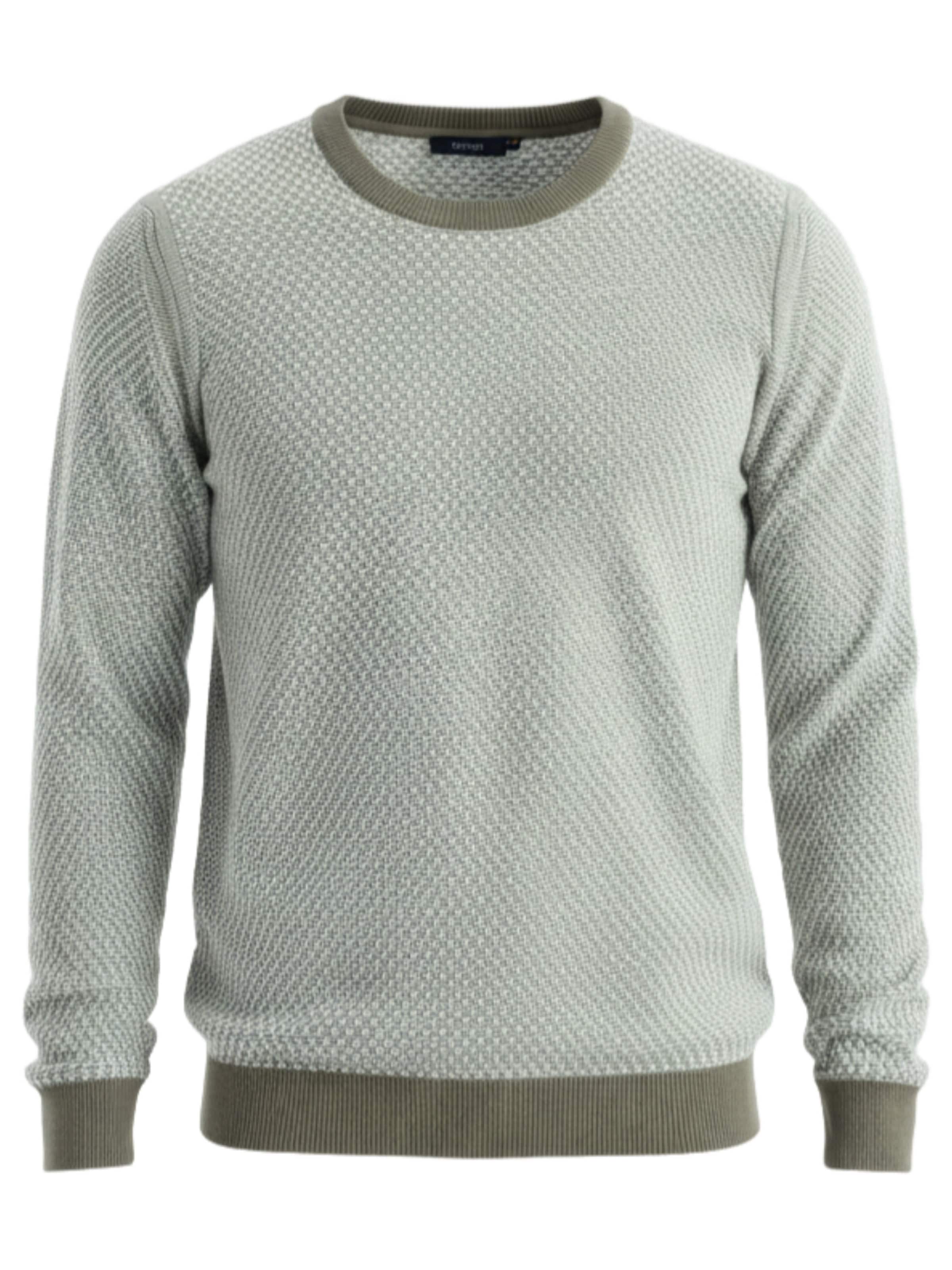 Pull-over 'OM-SWSW-0111' Ombre en vert : devant