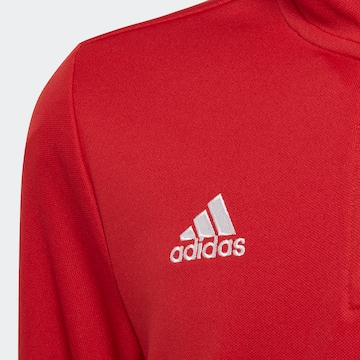 ADIDAS PERFORMANCE Sportsweatshirt 'Entrada 22' in Rot