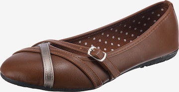 Lynfield Ballet Flats with Strap in Brown: front