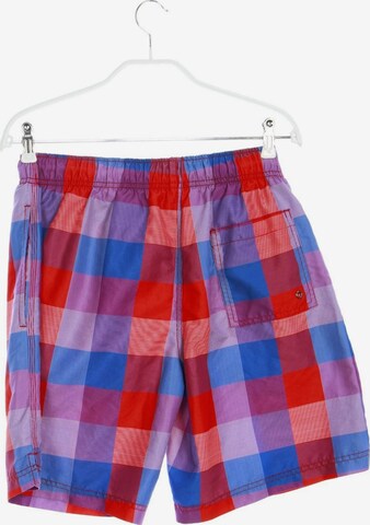 JOHN ADAMS Shorts 31-32 in Lila