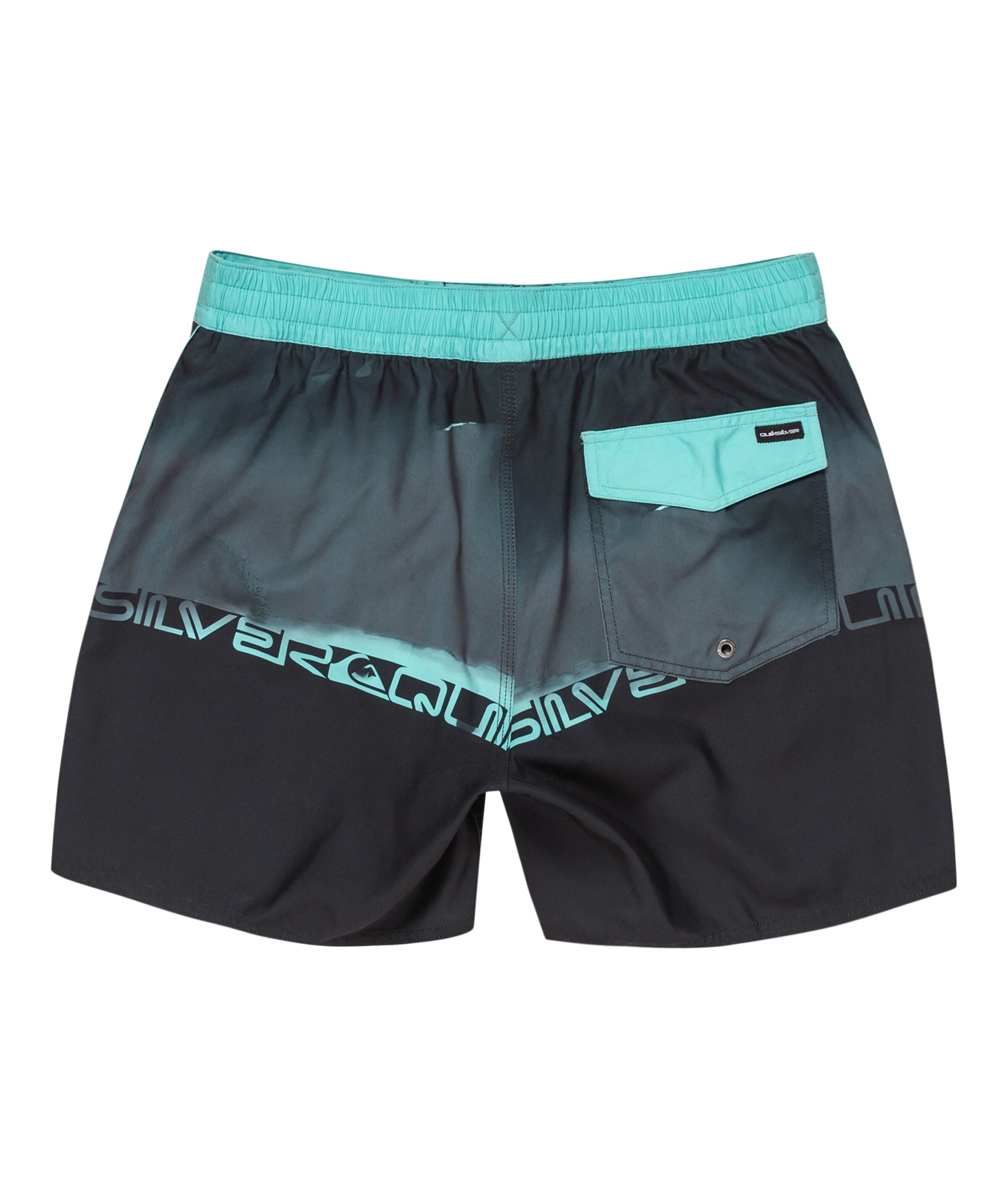 QUIKSILVER Badeshorts in Schwarz