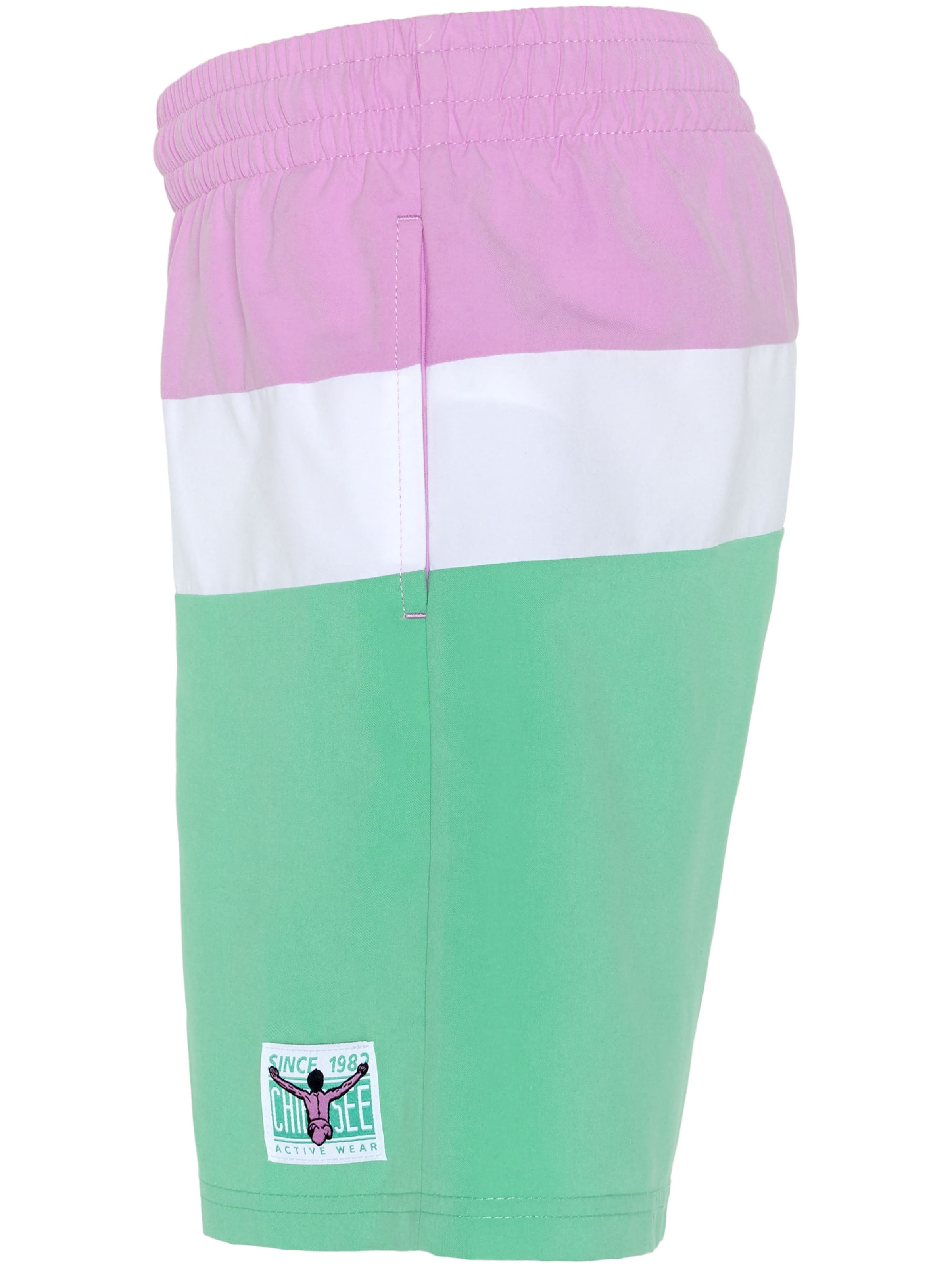 CHIEMSEE Swim Trunks in Green