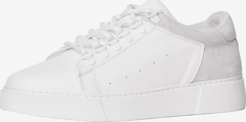 Baskets basses MARTIN VALEN en beige : devant