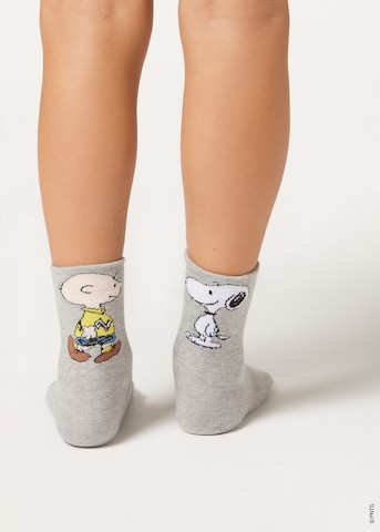 CALZEDONIA Socken 'PEANUTS | SNOOPY' in Grau: Vorderseite