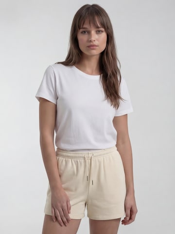 Antargo Regular Pants in Beige