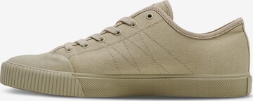 HALO Sneakers laag in Bruin