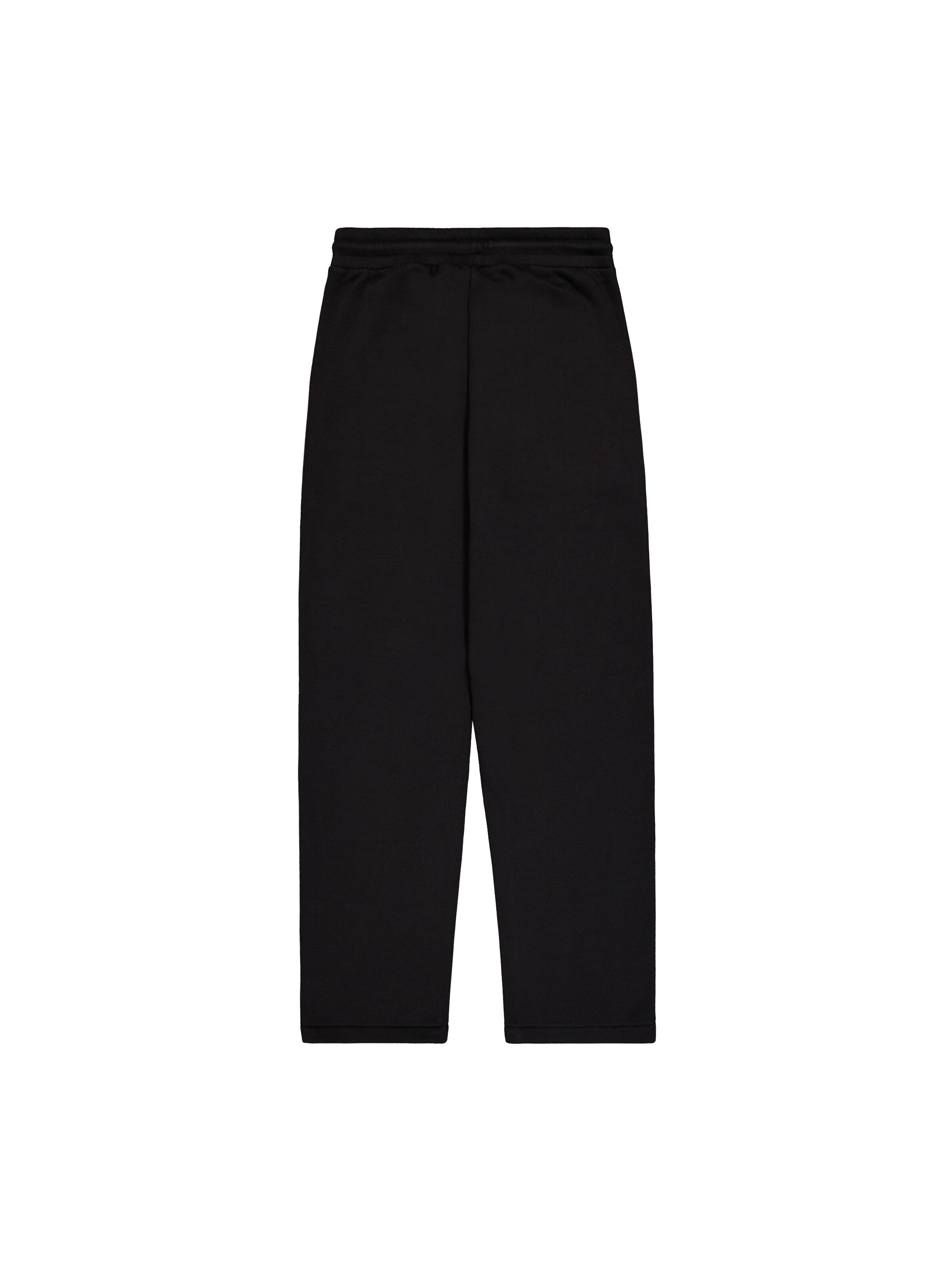 ALPHA INDUSTRIES Regular Hose in Schwarz