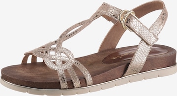 TAMARIS Strap sandal in Gold: front