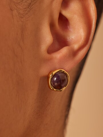 Lucardi Earrings in Gold