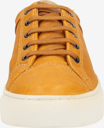 SANSIBAR Sneakers in Yellow